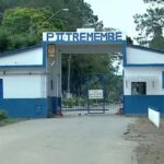 tremembe/prime video