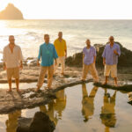 Planta & Raiz. Foto/Divulgação