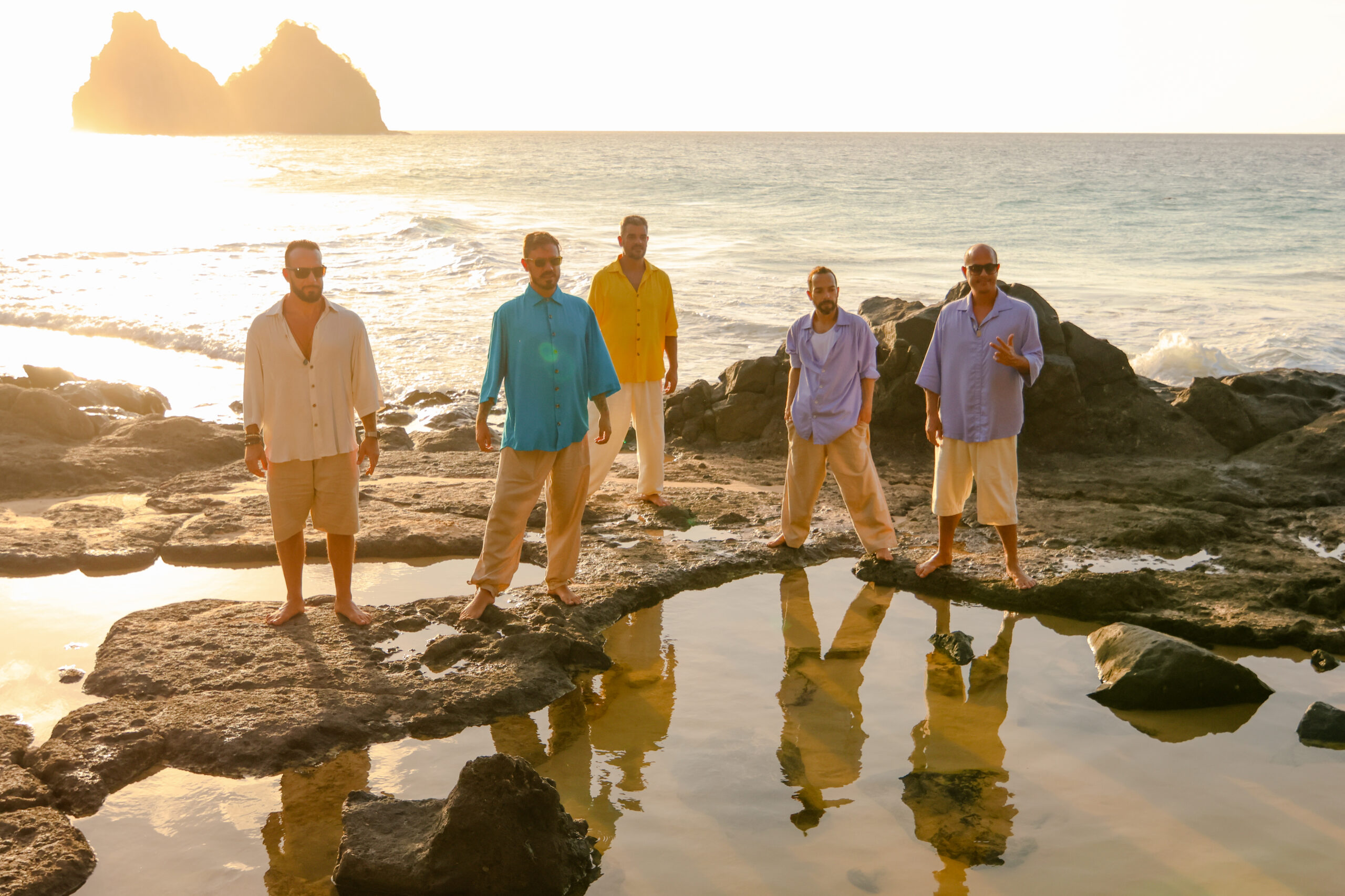 Planta & Raiz. Foto/Divulgação