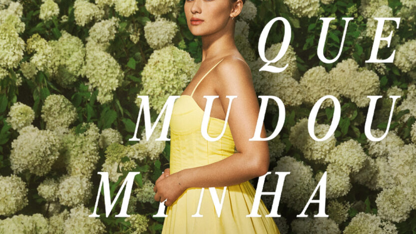 O Verão Que Mudou Minha Vida